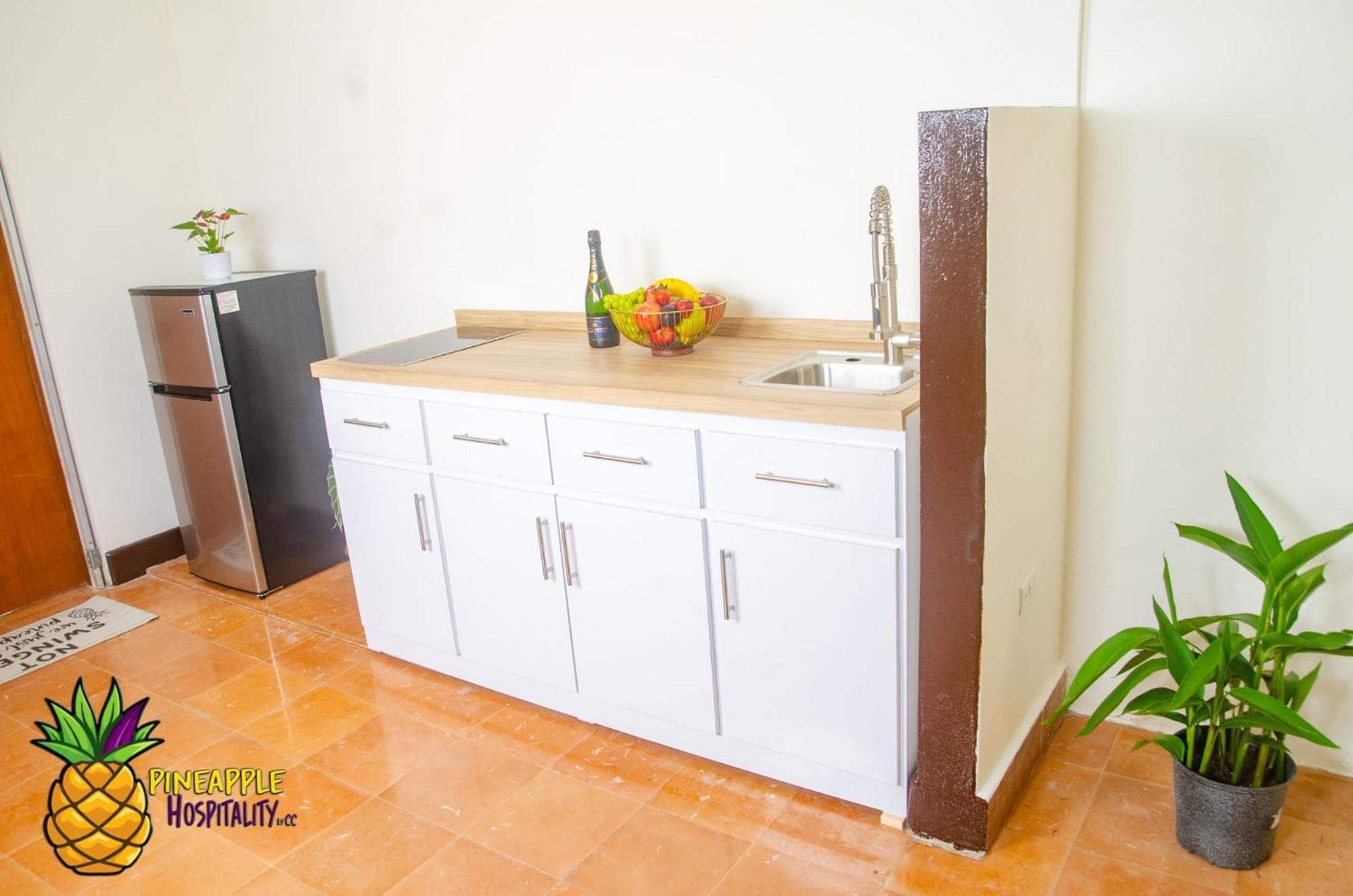 Apartmán Pineapple Hospitality Mayagüez Exteriér fotografie