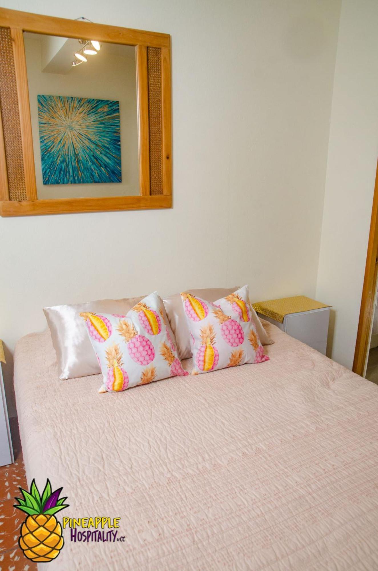 Apartmán Pineapple Hospitality Mayagüez Exteriér fotografie